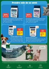 Catalogue Maxi Zoo semaine 40 page 14: Advance Pochons chat €6,36, Advance Pochons chien €10,36