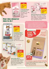 Catalogue Maxi Zoo semaine 40 page 4: Royal Canin Kitten €12,88, Hill's Croquettes €13,87