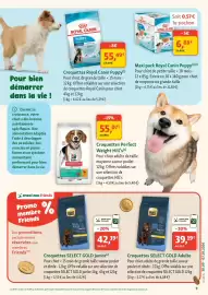 Catalogue Maxi Zoo semaine 40 page 9: Royal Canin Puppy €6,88, Royal Canin Puppy €55,49