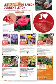 Catalogue Jardiland page 2