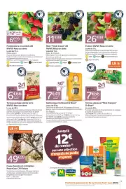 Catalogue Jardiland page 5