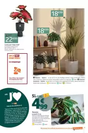Catalogue Jardiland page 9