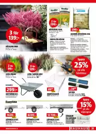 Bauhaus reklamblad Sida 31: SLÄPVAGN ES200S €8.239,00, HÖSTLJUNG ERICA €139,00