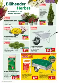 Lagerhaus Flugblatt Seite 2: Altrad Hofmaninger Schiebetrühe Austrobau €149,99, Oscorna Rasaflor Rasendünger €54,99