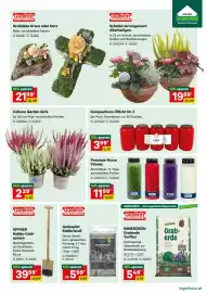 Lagerhaus Flugblatt Seite 3: OFFNER Hobby-Gold-spaten €39,99, Calluna Garden Girls €2,29