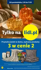 Lidl gazetka tydzień 41 Strona 10