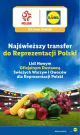 Lidl gazetka tydzień 41 Strona 3