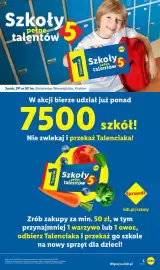 Lidl gazetka tydzień 41 Strona 7