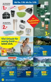 Lidl Flugblatt woche 40 Seite 22