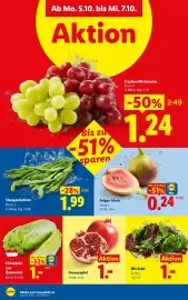 Lidl Flugblatt woche 40 Seite 41