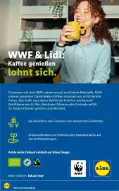 Lidl Flugblatt woche 40 Seite 53