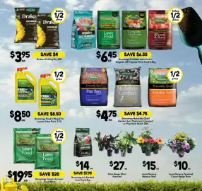 Drakes catalogue week 40 Page 21: Brunnerings Feed'n'Weed For Lawns Value Pack €8,50, Drakes Potting Mix €3,95