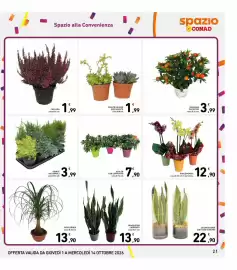 Volantino Spazio Conad Pagina 21: Piante autunnali €3,99, Sanseveria Laurentii €13,90