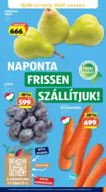 ALDI akciós újság hét 40 Oldal 25