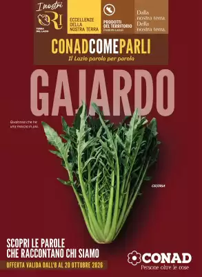 Conad (valido fino al 20-10)