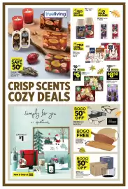 Dollar General weekly ad week 40 Page 11: Air Wick Essential Mist €8,50