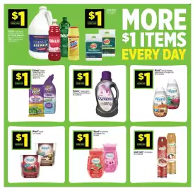 Dollar General weekly ad week 40 Page 6: Dynamo Liquid Laundry Detergent Purple Wildflowers €1,00