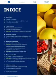 Volantino Lidl Pagina 2