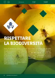 Volantino Lidl Pagina 26