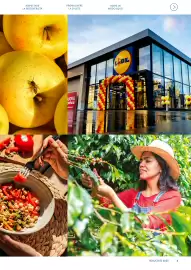 Volantino Lidl Pagina 3