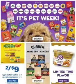 Meijer weekly ad week 40 Page 35: Eggo protein waffles or protein pancakes €9,00