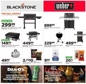 Mills Fleet Farm weekly ad week 40 Page 21: Weber Spirit E-310 LP Gas Grill €499,99