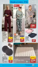 Folleto ALDI semana 41 Página 19: Home Creation funda de pelo sintético para silla €3,99