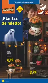 Catálogo Lidl | Halloween Página 14