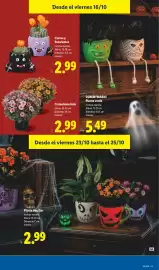 Catálogo Lidl | Halloween Página 15: Crisantemo bola €2,99, Cactus y Suculentas €2,99