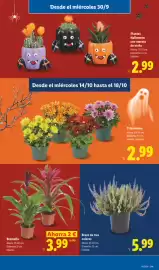 Catálogo Lidl | Halloween Página 15