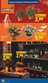 Catálogo Lidl | Halloween Página 16