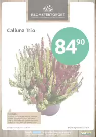 Joker kundeavis uke 40 Side 15: Calluna Trio €84,90