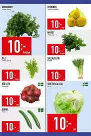 Matdax reklamblad vecka 40 Sida 11