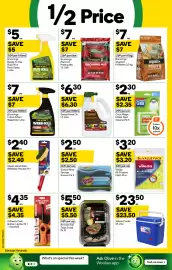 Woolworths catalogue week 40 Page 40: Seasol Hose On €6,30, Vileda All-Purpose Cloth €3,20