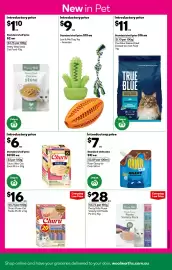 Woolworths catalogue week 40 Page 41: Pretty Wild Puree Variety Pack €28,00, Rawr Gravy for Cats €7,00