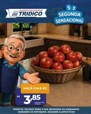 Tridico (válido até 28-09)