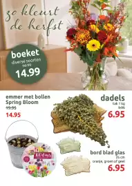 Deka Tuin folder Pagina 2: Emmer met bollen Spring Bloom €14,95, Boeket €14,99