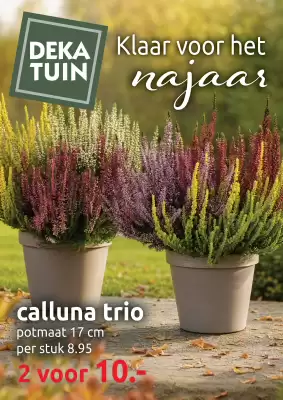 Deka Tuin (geldig t/m 11-10)