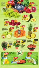 Albert leták | Supermarket Strana 14: Blumy červené €44,90, Chryzantéma multiflora miska €119,90