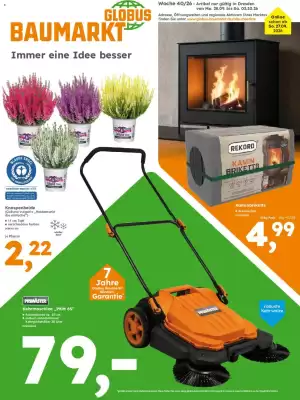 Globus Baumarkt (gültig bis 3-10)