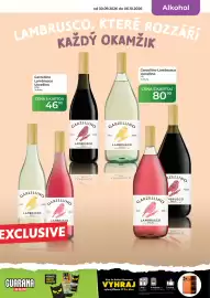 Tamda Foods leták týden 40 Strana 17