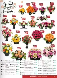 Catalogue Maximo page 17: COLONA Chrysanthème €14,99, Bouquet de roses €14,99