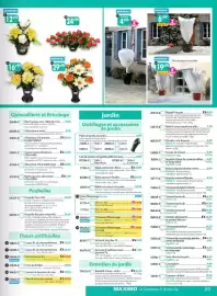 Catalogue Maximo page 89: COLONA Bouquet de fleurs €16,99, Géraniums fleuries €14,49