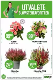 Kiwi kundeavis uke 40 Side 16: ROSER €99,00, CALLUNA €24,90