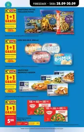 Biedronka gazetka tydzień 40 Strona 67: Wszystkie frytki i kuleczki aviko, Lody Big Milk