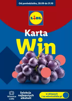 Lidl gazetka (ważność do 31-10)
