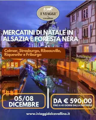 Volantino I Viaggi del Cavallino (valido fino al 8-12)
