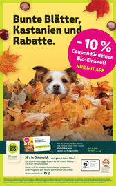 Denn's Biomarkt Flugblatt Seite 14