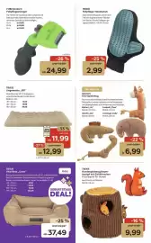 ZOO & Co Flugblatt woche 40 Seite 5: TRIXIE Hundespielzeug Baumstumpf mit Eichhörnchen €9,99, Azoona ECO Spielzeug €6,99