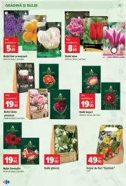 Catalog Carrefour Pagină 25